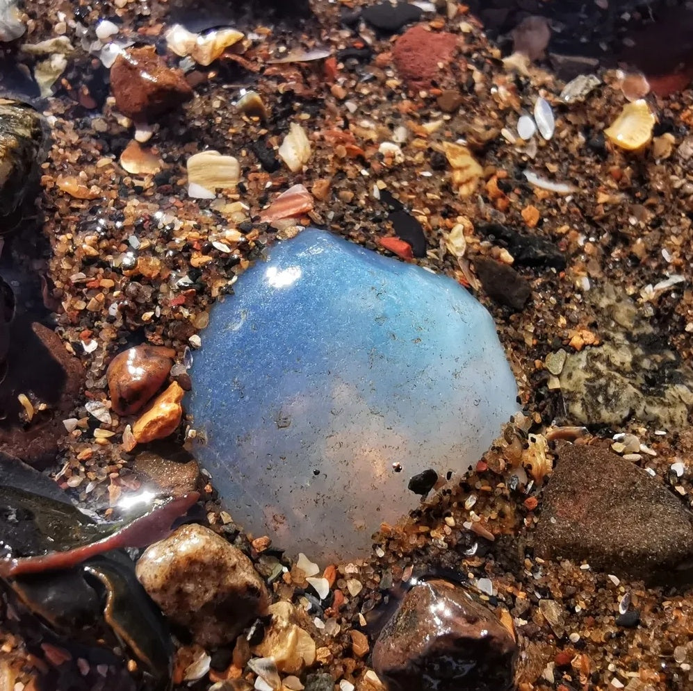 Reserved for Gatia. Scottish opalescent sea glass heart & sterling silver pendant.