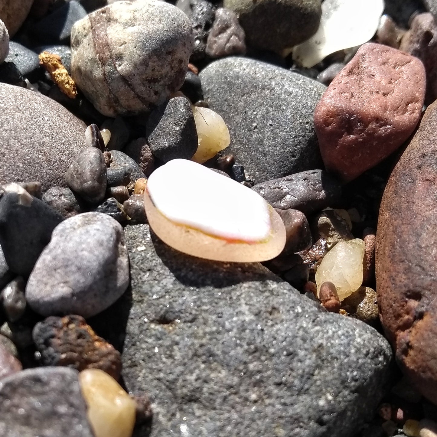 Scottish pink and yellow multicoloured sea glass & sterling silver pendant.