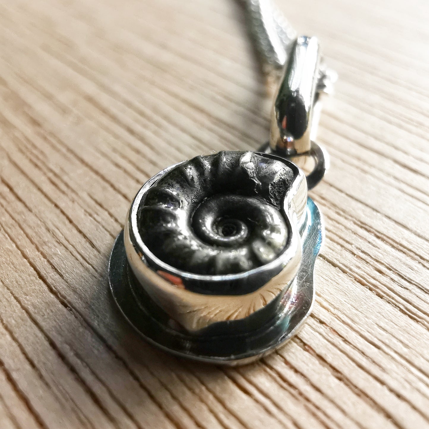 Tiny ammonite fossil & sterling silver pendant.