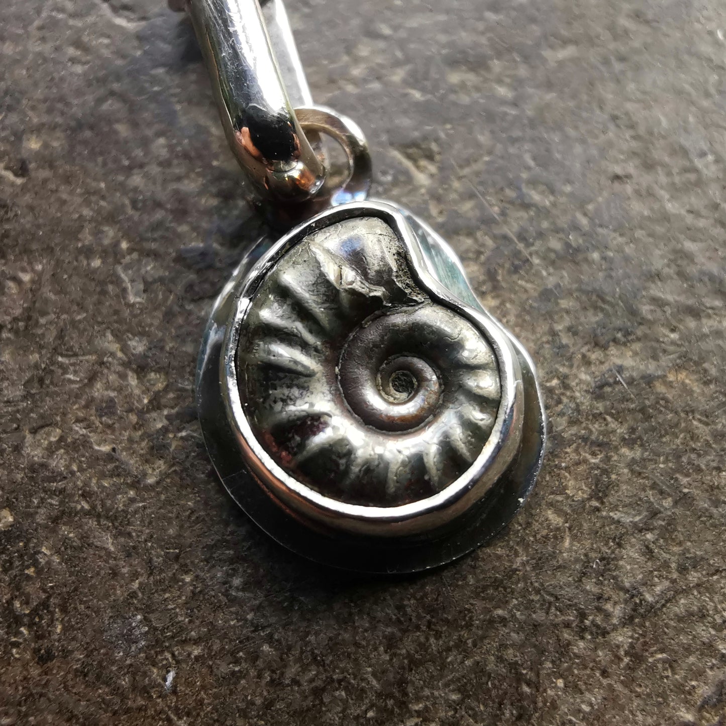 Tiny ammonite fossil & sterling silver pendant.