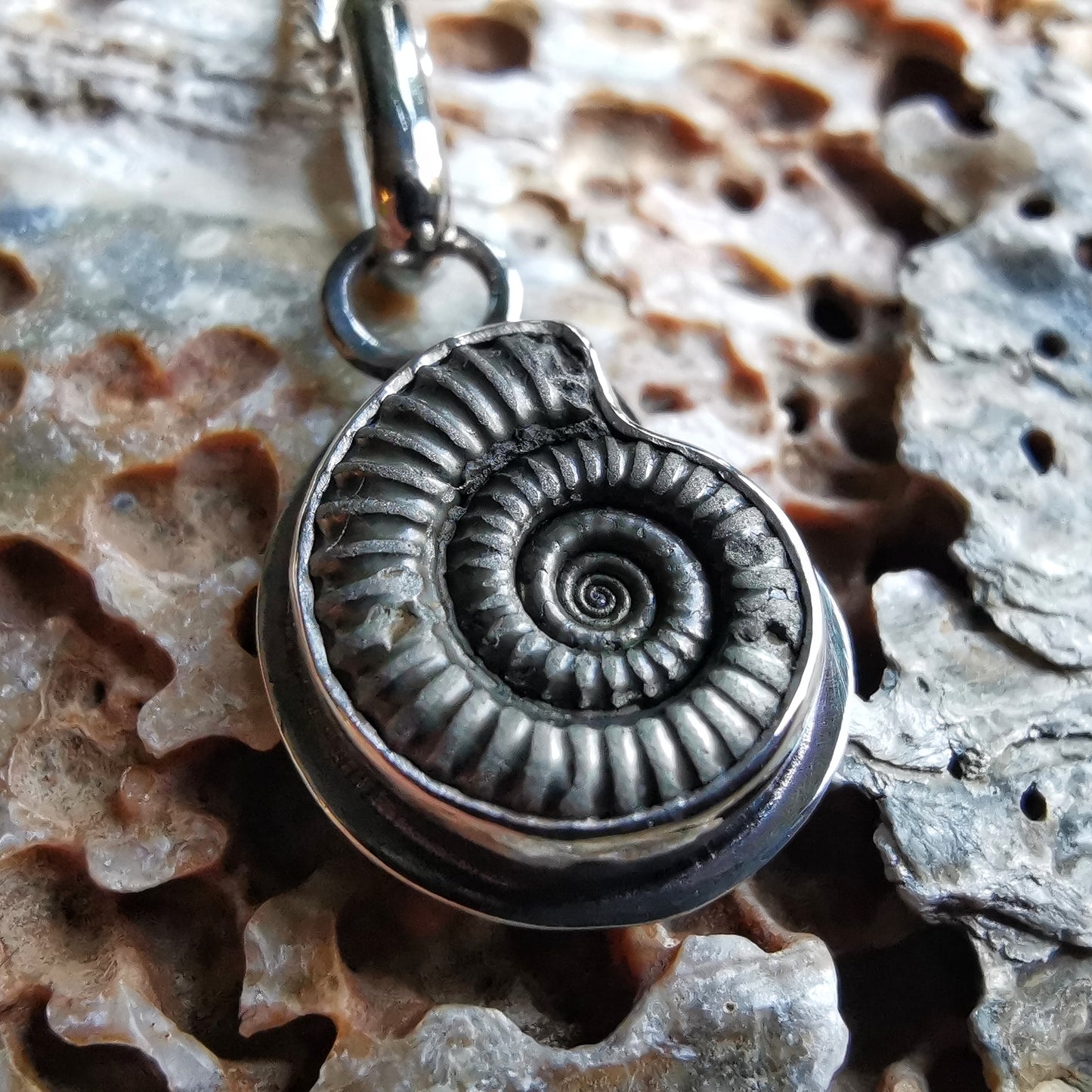 Ammonite fossil & sterling silver pendant.
