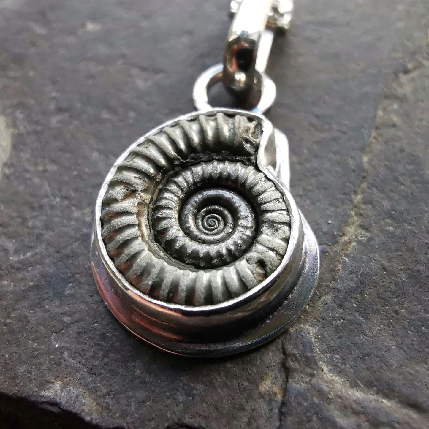 Ammonite fossil & sterling silver pendant.