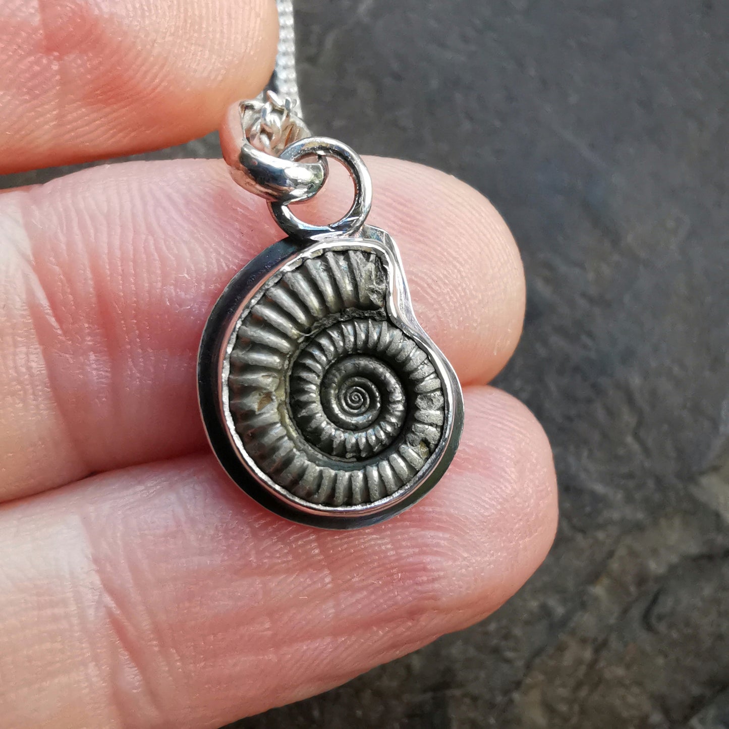 Ammonite fossil & sterling silver pendant.