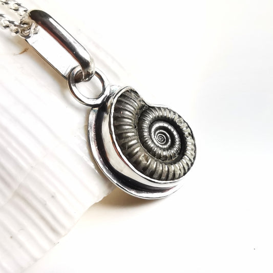 Ammonite fossil & sterling silver pendant.