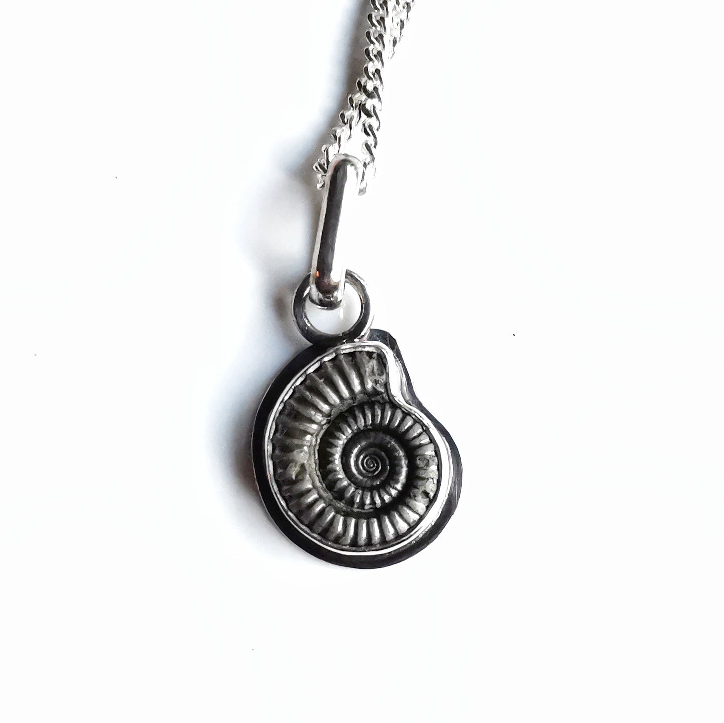 Ammonite fossil & sterling silver pendant.