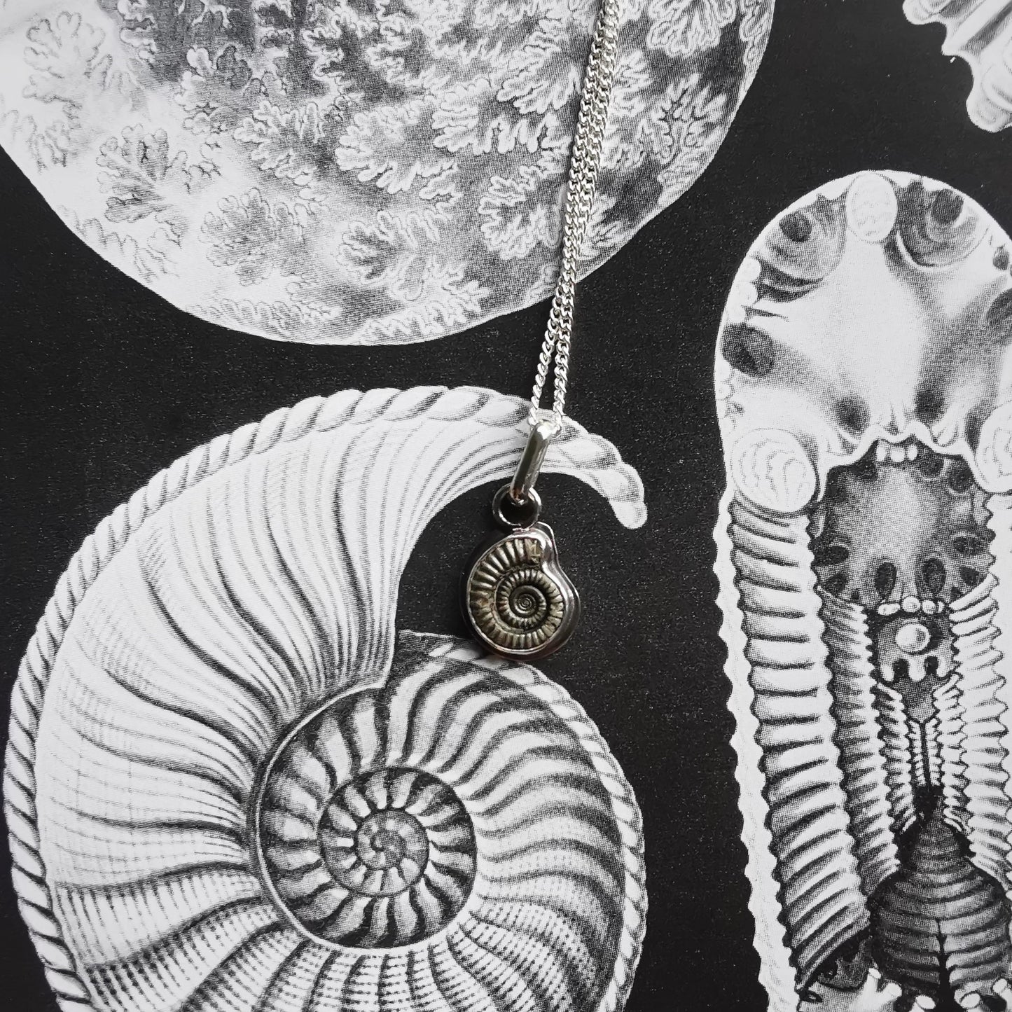 Ammonite fossil & sterling silver pendant.