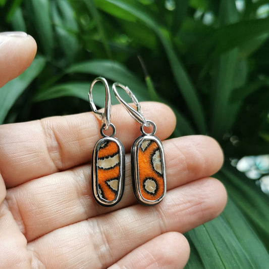 Scottish orange sea pottery, sterling silver earrings - monopatin